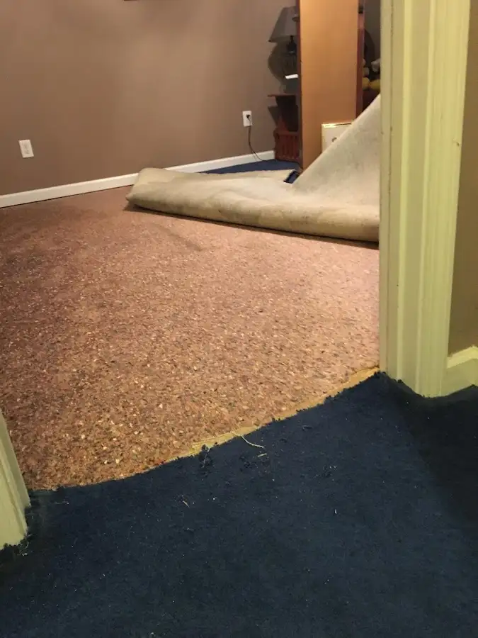 Carpet pad removal revealing water damage during Drying & Dehumidification in Palmetto Bay
